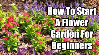 How To Start a Flower Garden For Beginners | Flower Garden Planning For Beginners