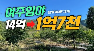 여주임야 14억 1억7천까지 유찰 (+녹색자금이란?)