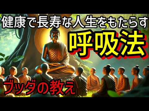 【ブッダの教え】呼吸法を変えると病気にならない！仏教が教える健康で長寿な人生をもたらす鍵とは？呼吸の真の力！【仏教 瞑想 自己啓発】