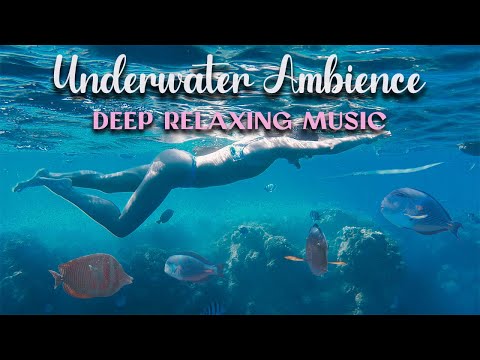 Peaceful Red Sea SNORKELING In Egypt: Underwater Paradise with Fish & Corals