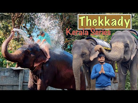 Thekkedy Tourist Places | Wonderful Elephant Ride & Shower, Best Cultural Show, Periyar Tiger | EP-2