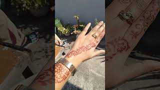 instent mehndi cone#review #meeshohaul #meeshoreview #meeshofinds #meeshoshoppinghaul