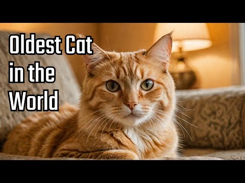 This Cat Lived for 38 Years! Discover Her Secrets 🐱#cat #catlover #cutecat