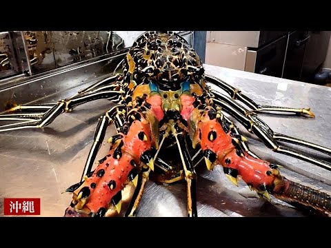 Size: 81cm, weight: 1,800kg Okinawa's giant shrimp monster [Japanese food stall]