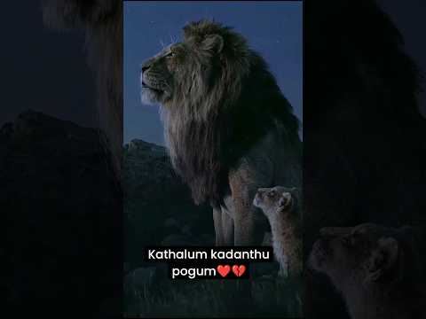 Kaathalum kadanthu pogum❤️💔 #comedy #lionking  #love #karungali #laugh#lovers #sparrowtales #heart