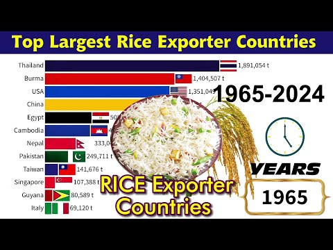 Top Largest rice exporting countries 1965 - 2024