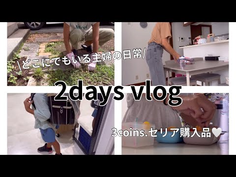 [主婦vlog]寝た途端草むしりをする🌿/やっとランドセル購入🎒✨/久しぶりのお弁当作り⚽️