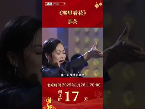 借我借我一双慧眼吧！那英一曲《雾里看花》难掩真情 | CCTV春晚