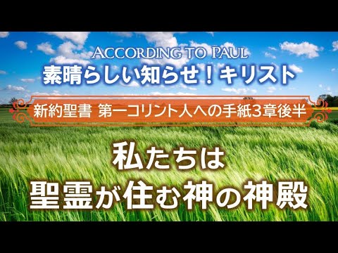 #6 第1コリント人への手紙3章後半「私たちは聖霊が住む神の神殿」