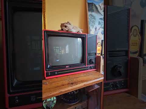 Are there any others who recall watching 'Jungle Book' (Mogli) on Doordarshan using this TV type?