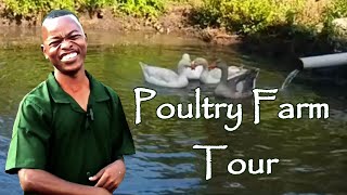 Poultry Farm Tour