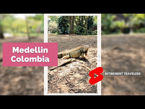 Retirement Travelers: MEDELLIN COLOMBIA Botanical Garden IGUANA! #Shorts