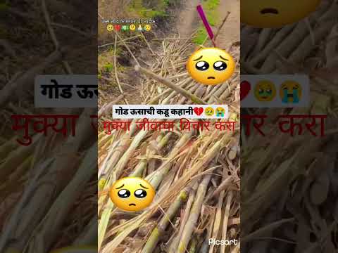 गोड उसाची कडू कहानी#शेतकरी#VISHAL NAGARGOJE #beed #comedy #beed