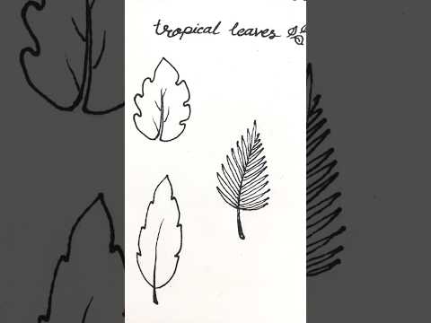 3 ways to draw leaves 🍃 #shortvideo #shorts #easydrawing #youtubeahortsvideo #leaves