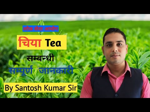 चिया सम्बन्धी महत्वपूर्ण जानकारी | आर्थिक बिकास | Information About Tea | By Santosh Kumar Sir