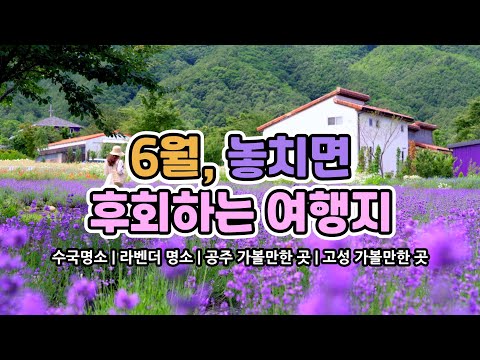 Places to visit in Korea in June Hydrangea Festival | Hani Lavender Farm | Lavender | Seomi Garden