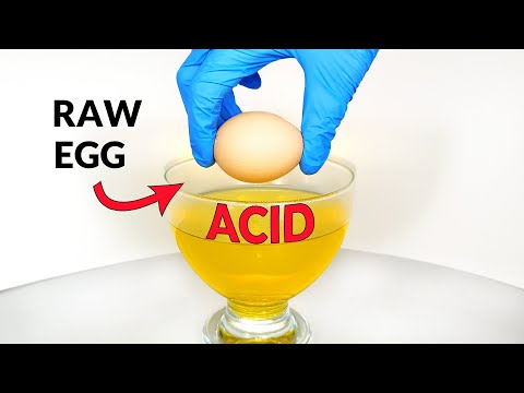 EGG IN ACID