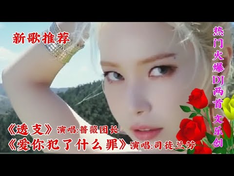 新歌推荐 两首火爆DJ《透支》《爱你犯了什么罪》让你着迷的声音