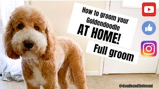 Grooming a Goldendoodle "AT HOME"