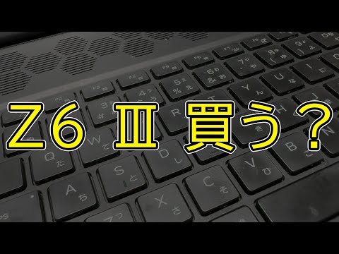 【Z6III】野良猫の撮影だけで生きてきた男はZ6IIIを買うのか？