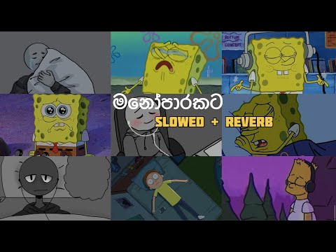 මතක අවුස්සන මනෝපාරකට | Slowed and Reverb Songs | manoparakata sindu playlist 7