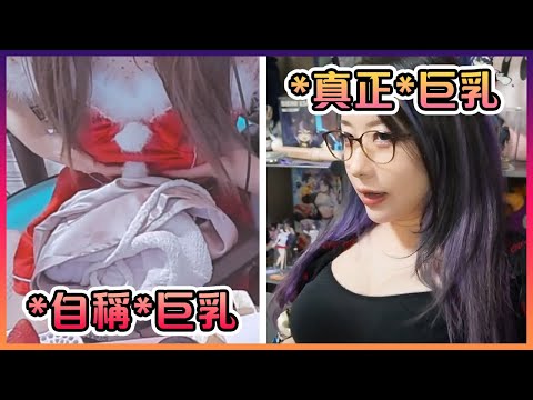 みけねこ和Kson之間到底誰比較大呢?( ͡° ͜ʖ ͡°)【VTuber中文】【みけねこ/kson】