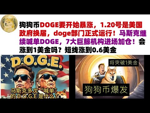 狗狗币DOGE要开始暴涨，1.20号是美国政府换届，doge部门正式运行！马斯克继续喊单DOGE，7大巨鲸机构进场加仓！会涨到1美金吗？短线涨到0.6美金#DOGE币#马斯克狗狗币#DOGE行情分析