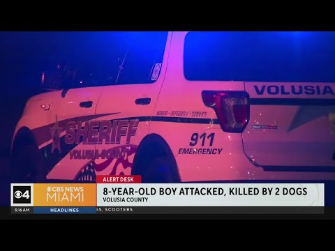 Boy, 8, attacked and killed by 2 dogs in Central Florida