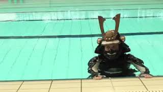 Samurai Schwimmen in Japan