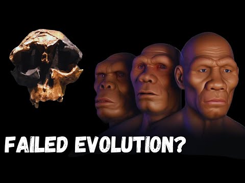 The Ancient Human Species That Caused Their Own Destruction