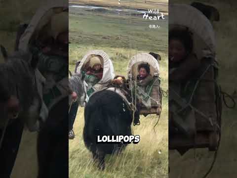 Timeless Scene on Tibetan Road