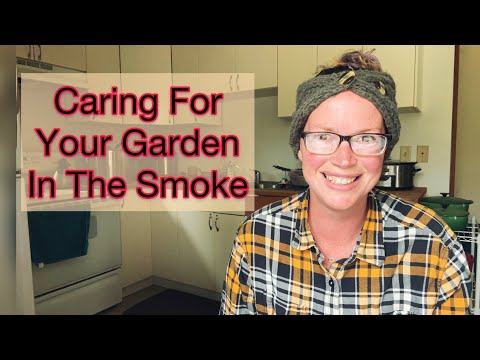 How to Care For Your Garden in the Smoke | PNW