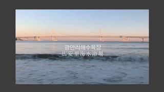 【韓国旅行】釜山VLOG/広安里ビーチ/hotel1