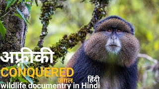 The cunquered forest - हिंदी डॉक्यूमेंट्री ! Africa wildlife documentry in Hindi