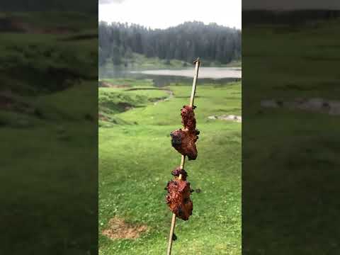 Enjoying Kebabs in Nature | NatureQuest With Bilal #nature #mountains #kebablovers