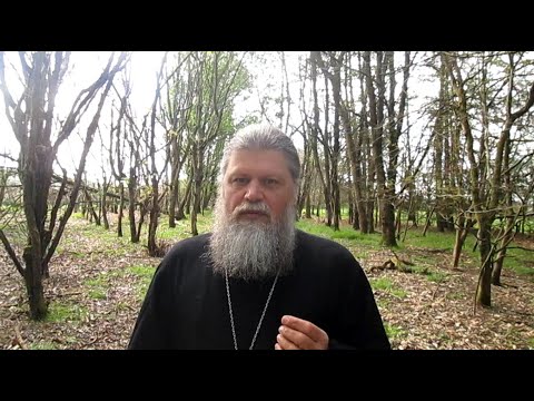 ORTHODOXY ~ THE PATH TO ETERNAL JOY