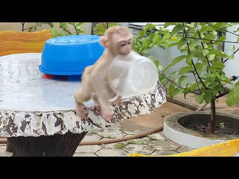 Cute Baby Boy Play in front of the house Look is very happy