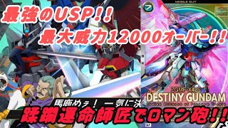 【アーセナルベース】一撃600越えの超火力SP！！師匠運命で5桁威力のUSP！！