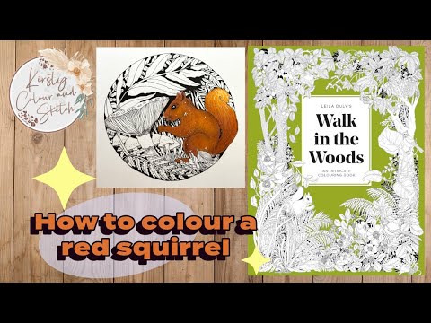 How to colour a red squirrel using polychromos pencils ~ walk in the woods