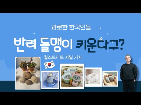 과로한 한국인들이 반려 돌맹이를 키운다고? 월스트리트 저널 기사 동의하나요? 발려돌 펫돌 유행 분석