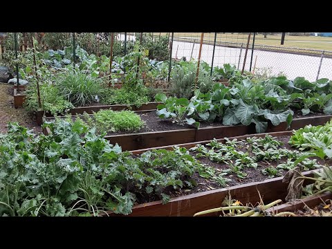 Introduction to the garden