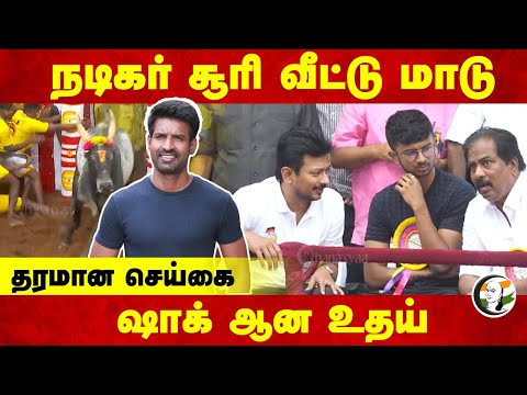 நடிகர் சூரி வீட்டு மாடுதரமான செய்கை | Soori | Udhayanidhi | Alanganallur Jallikattu | DMK |