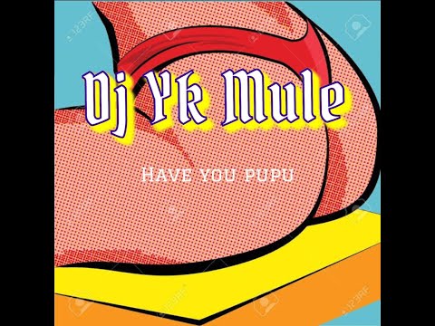 DJ YK Mule - Have You Pupu (Official Audio)