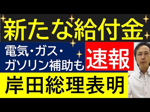 給付金を含む電気ガス代補助やガソリン補助の実施を岸田総理が表明