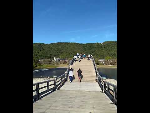 Historical wooden Arch Bridge in Iwakuni #vlog #explore #japan