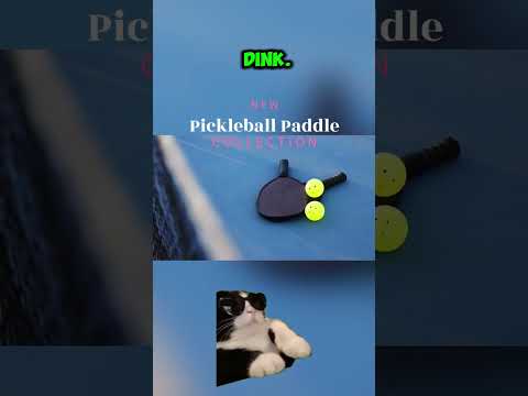 Pickleball is evolving at lightning speed!