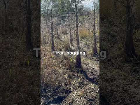 Florida mudding trails #mudding #fyp #foryou #dirtbike #florida