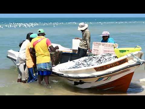 Sri Lanka: coast near Talaimannar 4-03-2019