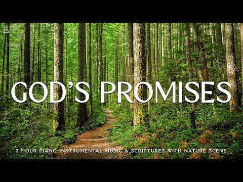 God's Promises : Instrumental Worship & Prayer Music with Nature 🌿CHRISTIAN piano