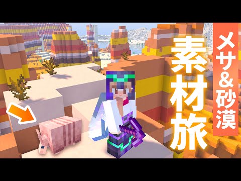 砂漠村へ出張回収旅！メサで奇跡の出会いがありました。【マイクラ / マインクラフト / minecraft】92